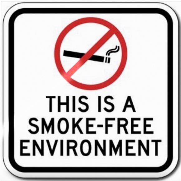 Pillow Cover Bird Cardinal Christmas Holiday Buffalo Check Plaid Square 17.5 in - Picture 12 of 16